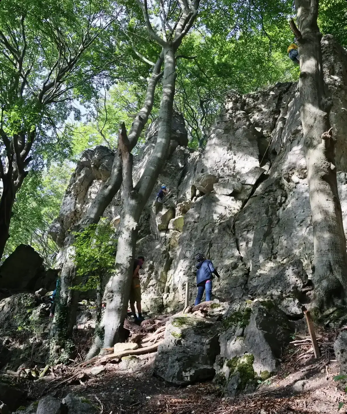 Fels | © Markus Golletz