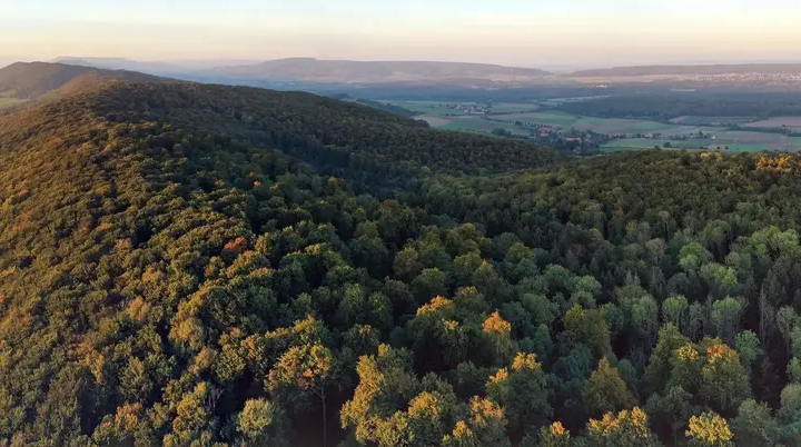 Pano | © Markus Golletz
