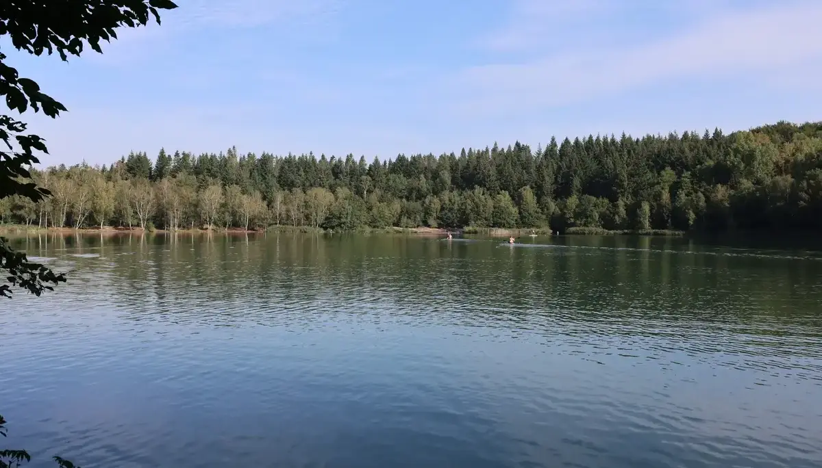 Bruchsee Sommer | © Markus Golletz