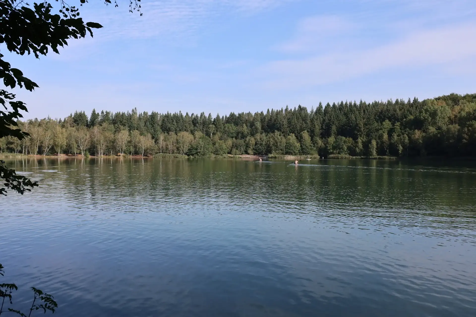 Bruchsee Sommer | © Markus Golletz